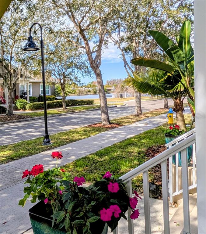 A view from a porch looking out at a street, trees, and a distant pond — 3618 BUFFETT STREET, NEW PORT RICHEY, FL