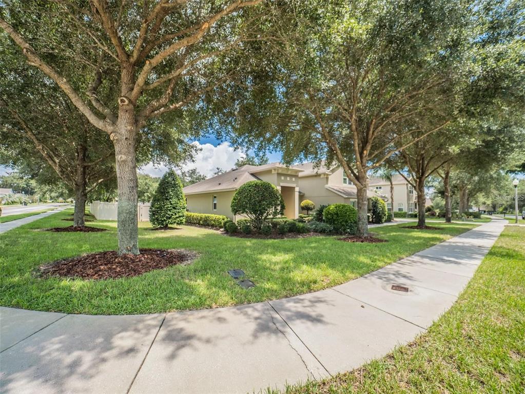 A tan house with a landscaped yard is viewed from a sidewalk under large trees — 4443 PINE GOLD AVENUE, APOPKA, FL