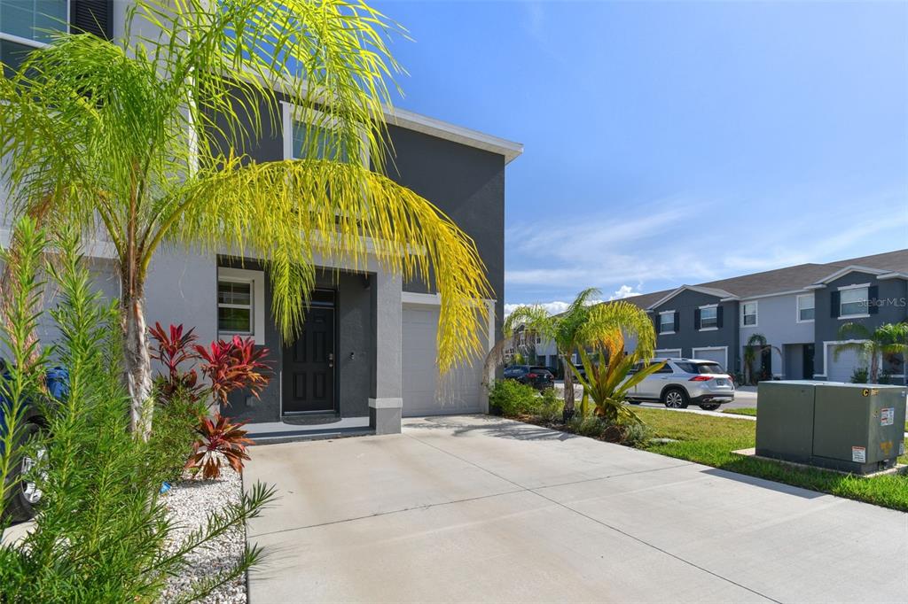 A two-story gray townhouse features a concrete driveway, a front door, and palm trees — 2880 EVERGREEN ELM PASS, WESLEY CHAPEL, FL