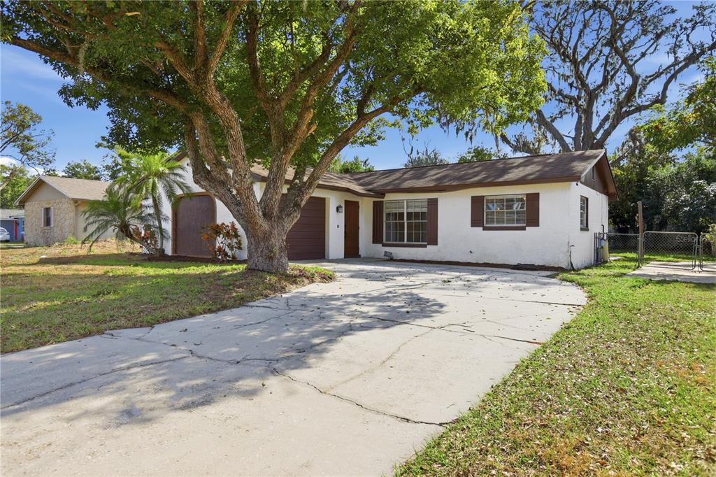 A single-story white house with a brown roof and a large tree in the yard — 3008 CALUMET DRIVE, ORLANDO, FL