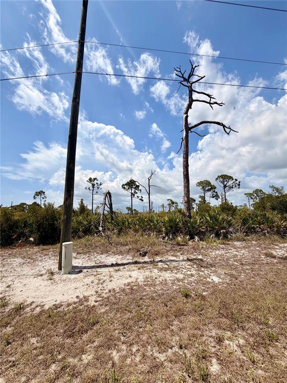A utility pole and a dead tree stand on a sandy, undeveloped lot under blue skies — 6 HARNESS ROAD, PLACIDA, FL