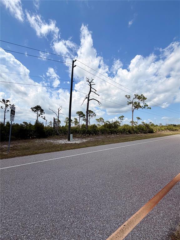 A paved road runs alongside a grassy area with a utility pole and several trees — 6 HARNESS ROAD, PLACIDA, FL