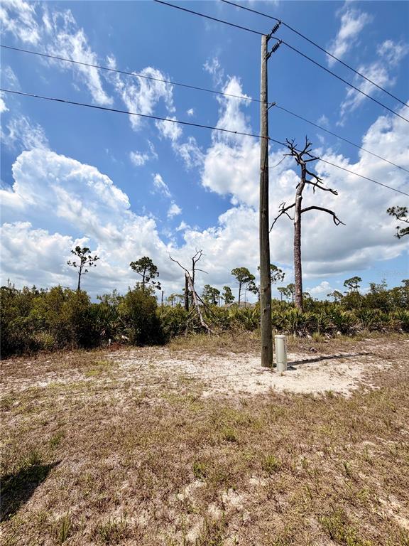 A utility pole with power lines stands in a sandy, undeveloped lot with scattered trees — 6 HARNESS ROAD, PLACIDA, FL