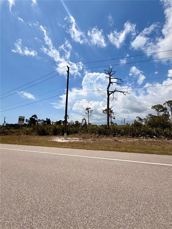 A paved road runs in front of a vacant, brush-covered lot with a utility pole — 6 HARNESS ROAD, PLACIDA, FL