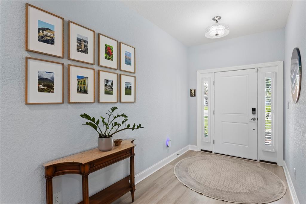 An entryway features light blue walls, a wood console table, a gallery wall, and a rug — 5220 94TH AVENUE N, PINELLAS PARK, FL