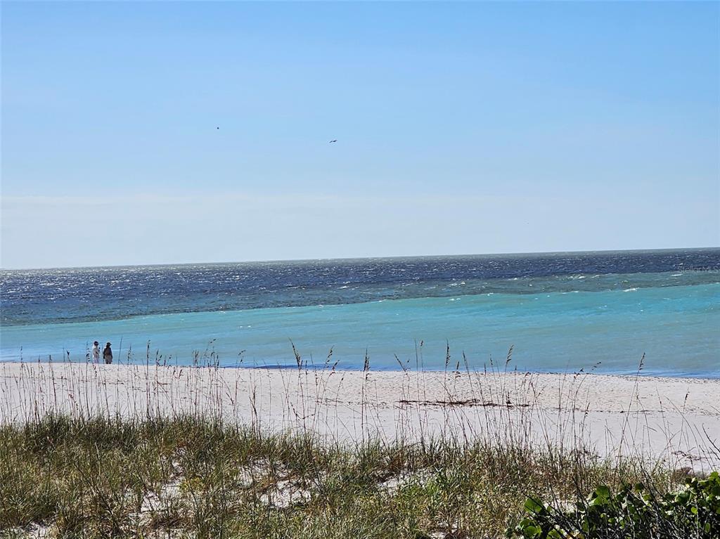 A view of a white sand beach with tall grass in the foreground and ocean — 5431 JOSLYN TERRACE, PORT CHARLOTTE, FL