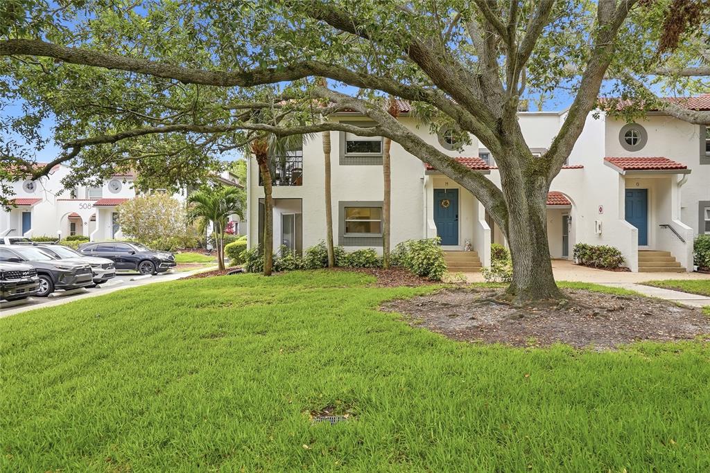A large tree stands in front of two-story townhouses with white stucco walls and blue doors — 500 SANTA CRUZ PLACE NE UNIT D, ST PETERSBURG, FL