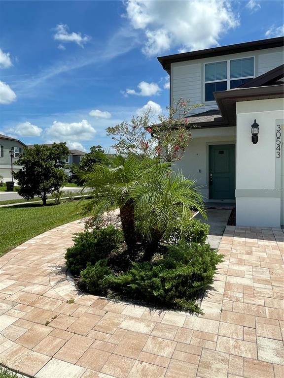 30543 THUNDERBIRD DR, WESLEY CHAPEL, FL — photo 2 of 26