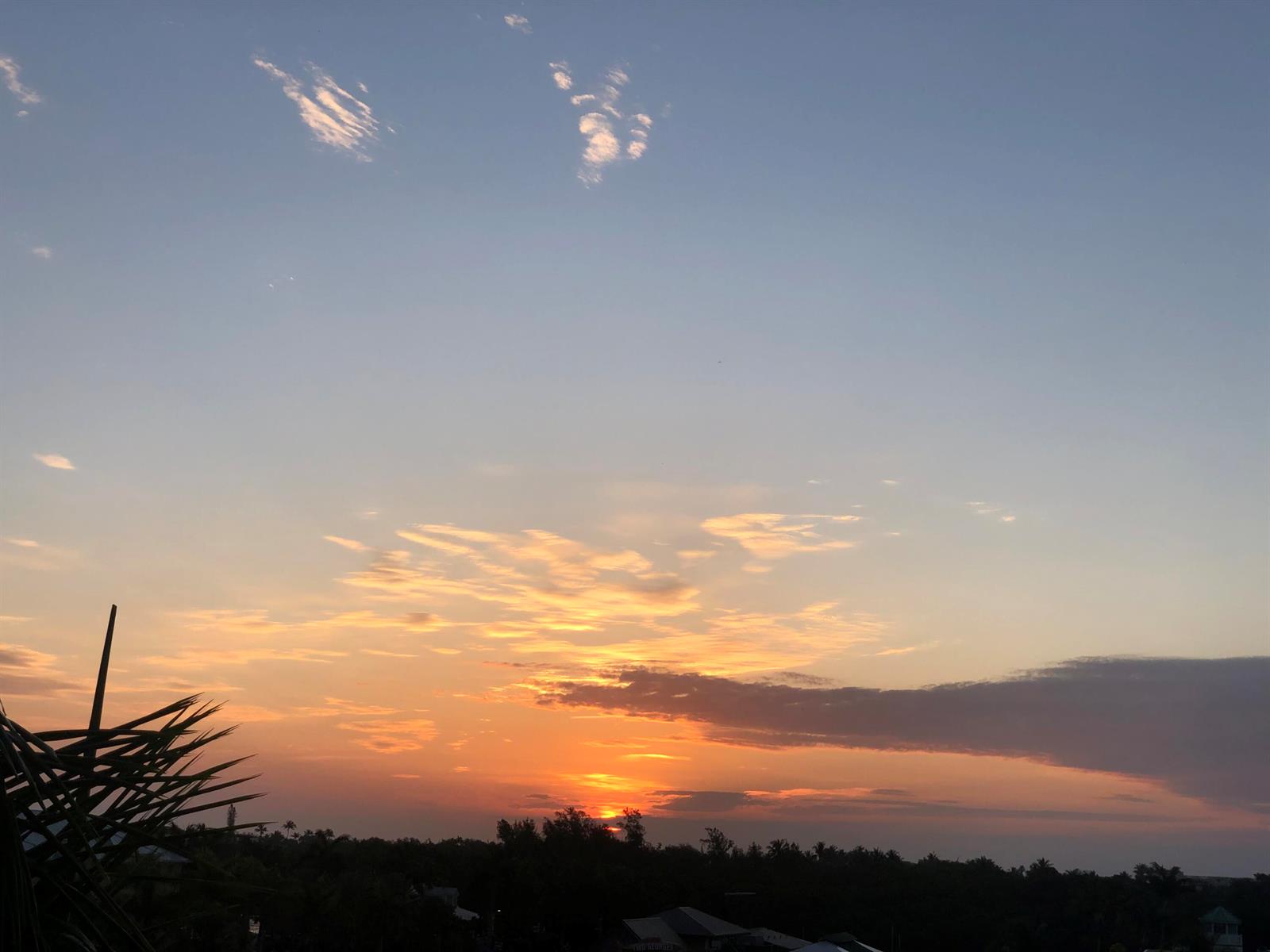 A sunset view over a treeline with a palm frond silhouette in the foreground — 100 NE 6th Street # 605, Boynton Beach FL 33435, BOYNTON BEACH, FL