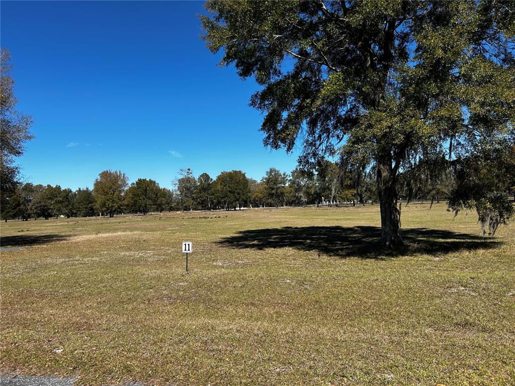 0000 NW 464B, MORRISTON, FL — photo 4 of 20
