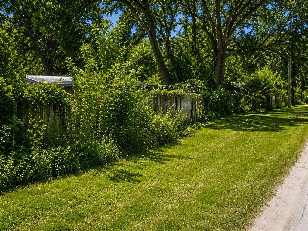 A weathered wooden fence is partially obscured by overgrown green vegetation and tall trees — 8562 ADONIS ROAD, NEW PORT RICHEY, FL