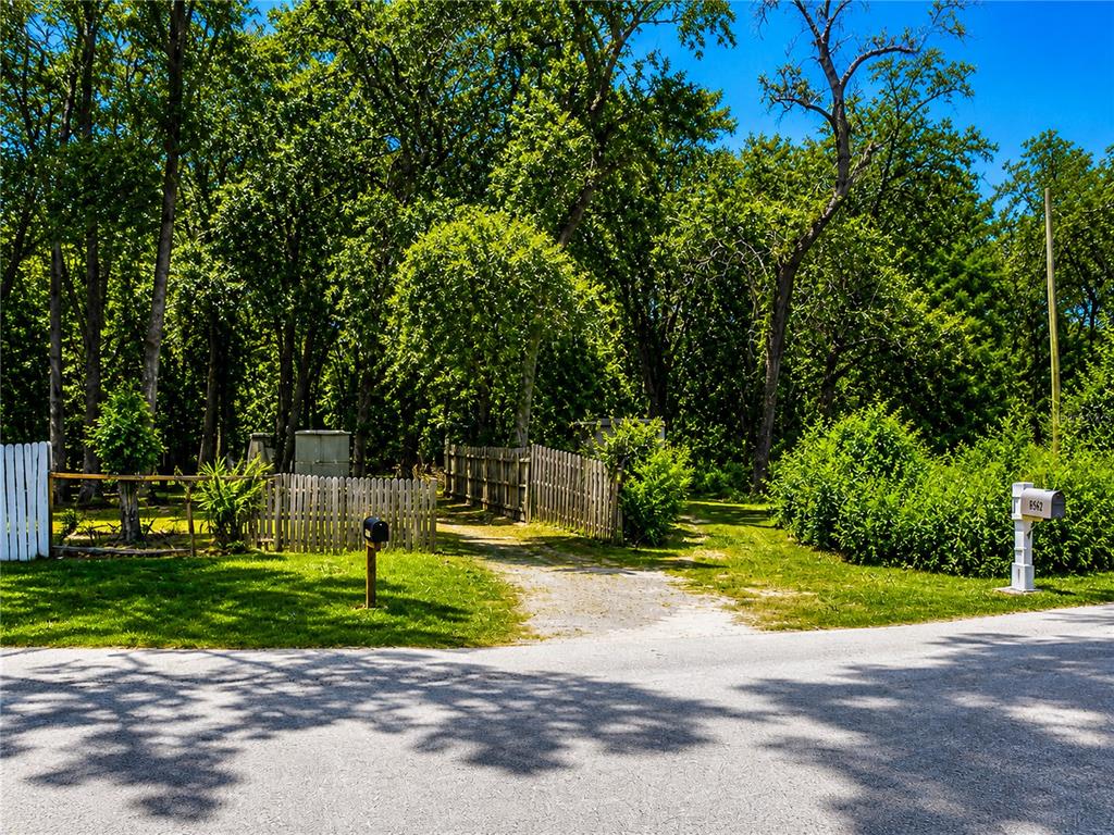 A gravel driveway leads through a wooden fence into a wooded lot with two mailboxes — 8562 ADONIS ROAD, NEW PORT RICHEY, FL