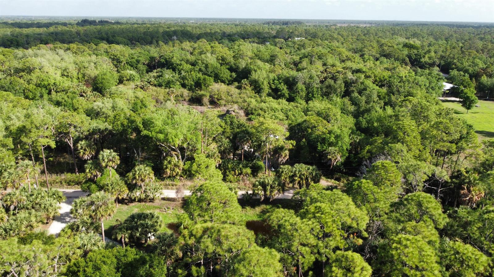 An aerial view shows a wooded lot with a dirt road and scattered palm trees — 0 SW 86th Street, FL 34956, FL