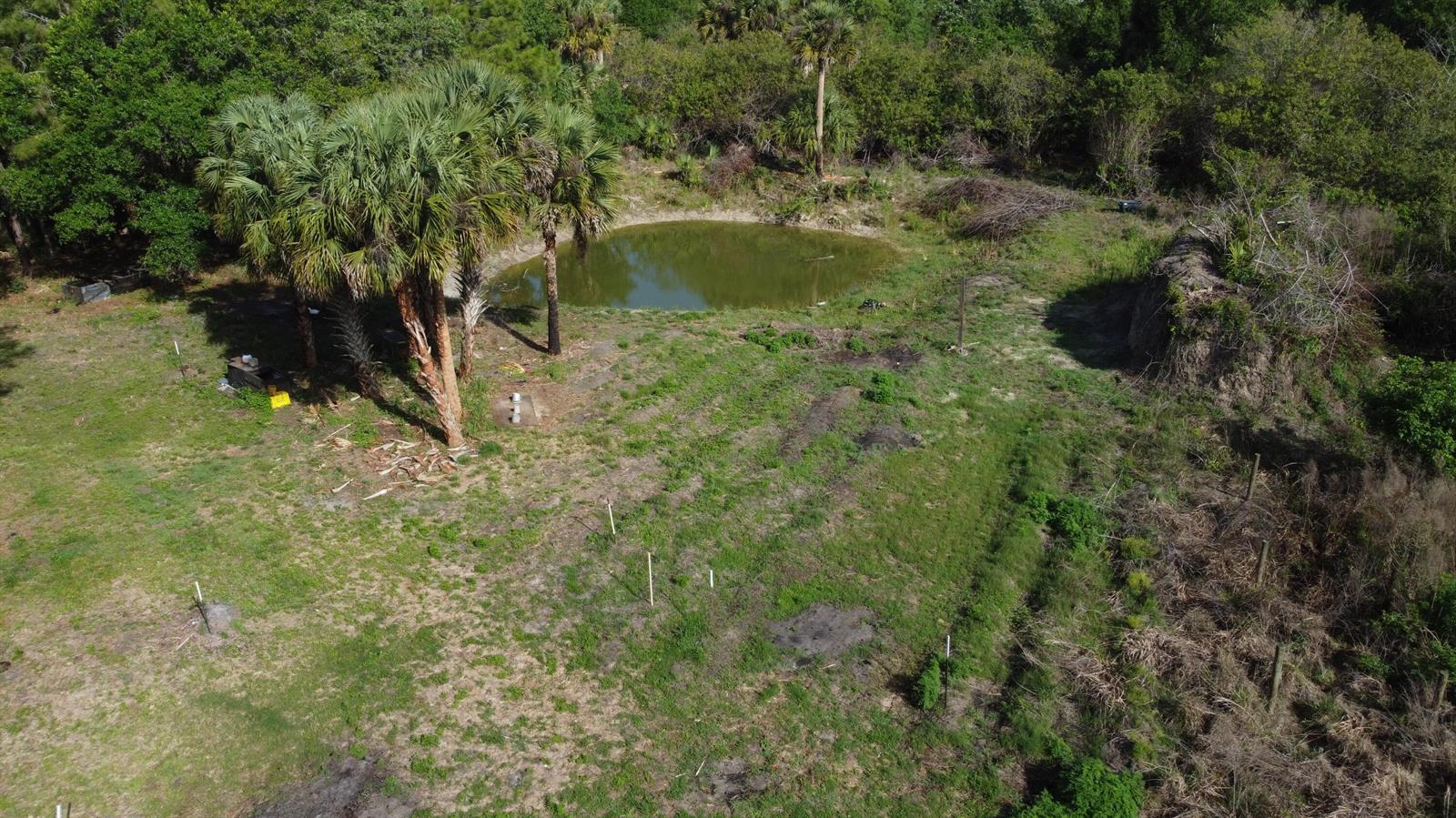 An aerial view shows a small pond surrounded by grass, palm trees, and dense vegetation — 0 SW 86th Street, FL 34956, FL