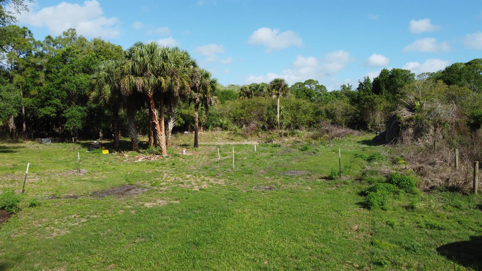 A grassy, undeveloped lot features several palm trees and white survey stakes under a blue sky — 0 SW 86th Street, FL 34956, FL