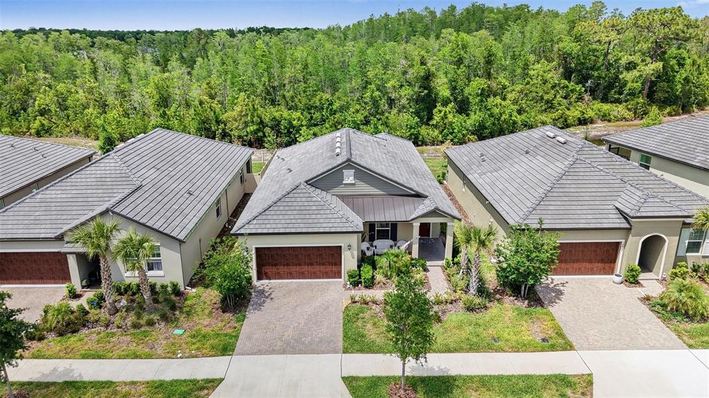 An aerial view shows three suburban houses with gray tile roofs and paved driveways — 10395 BANYAN BREEZE BOULEVARD, LAND O LAKES, FL