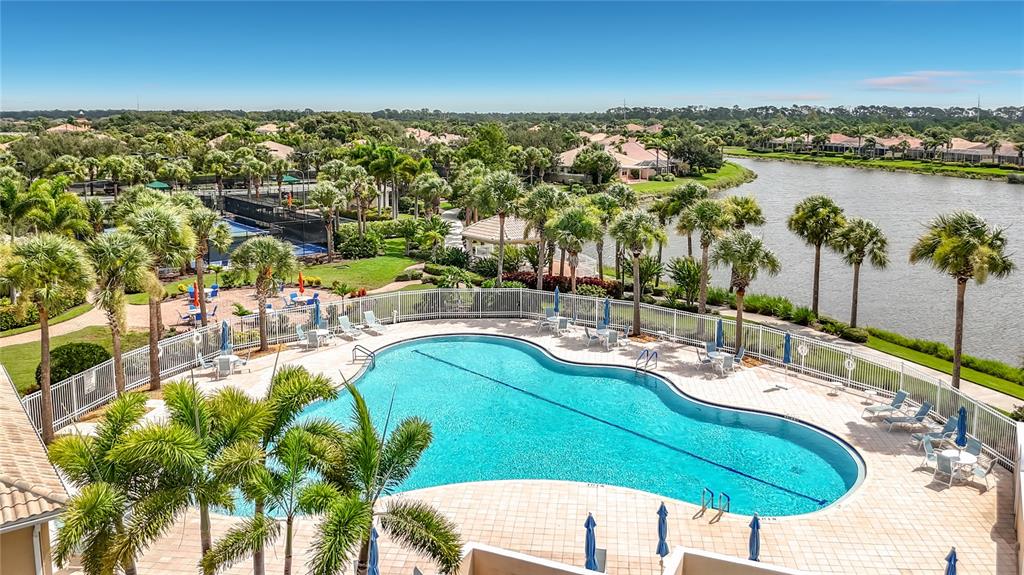 An elevated view of a swimming pool surrounded by palm trees, a patio, and a lake — 6149 ABACO DRIVE, SARASOTA, FL