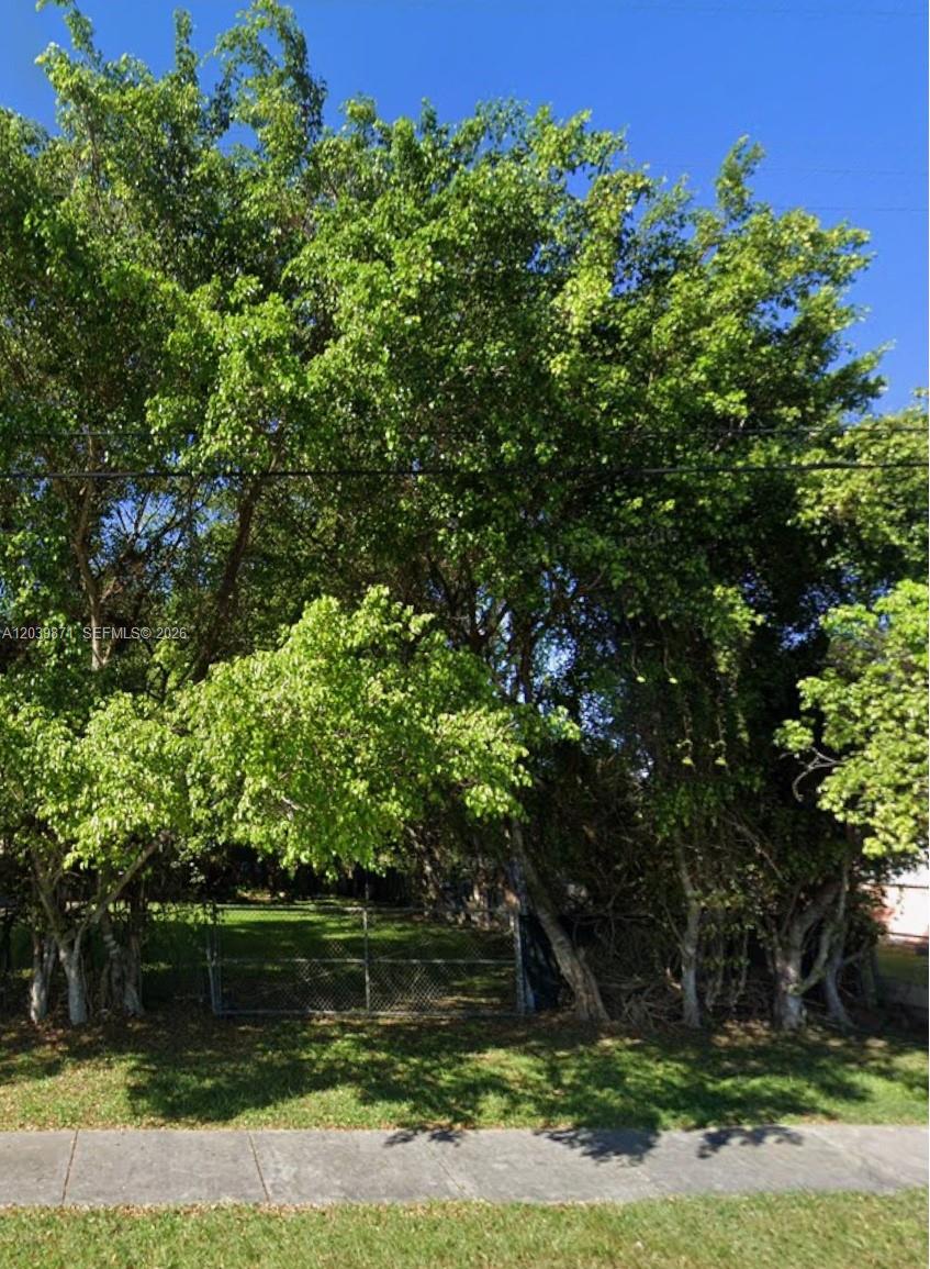 A chain-link fence sits in front of a densely wooded lot with large trees — 10435 SW 174th Ter, Miami FL 33157, MIAMI, FL