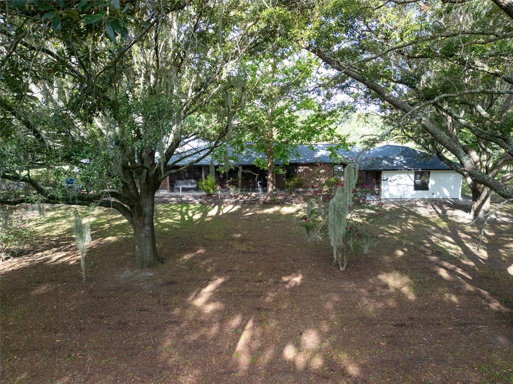 A single-story brick house with a dark roof sits behind large trees in a yard — 25518 NW COUNTY ROAD 241, ALACHUA, FL