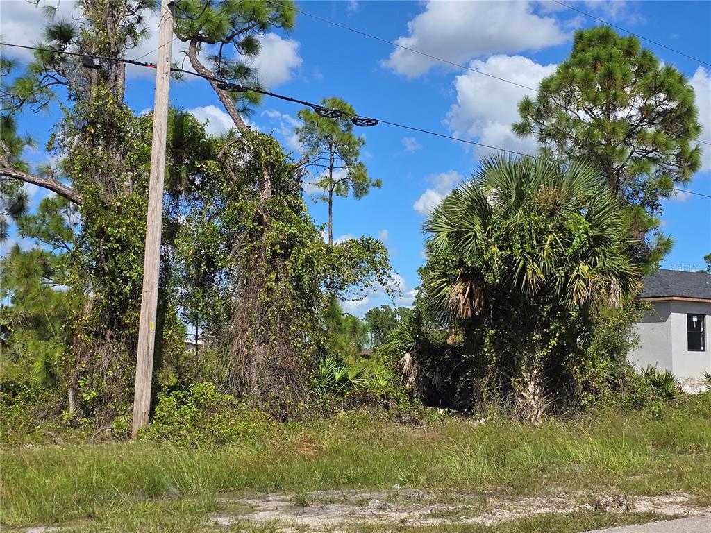 A vacant, overgrown lot features a utility pole, several trees, and a palm tree — 1111 NIMITZ BOULEVARD, LEHIGH ACRES, FL