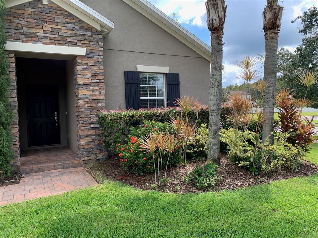 A stone-accented house entrance features a black door, a window with shutters, and landscaping — 19335 PADDOCK VIEW DRIVE, TAMPA, FL