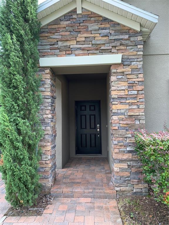 A stone-faced entryway features a black front door and a brick paver walkway — 19335 PADDOCK VIEW DRIVE, TAMPA, FL