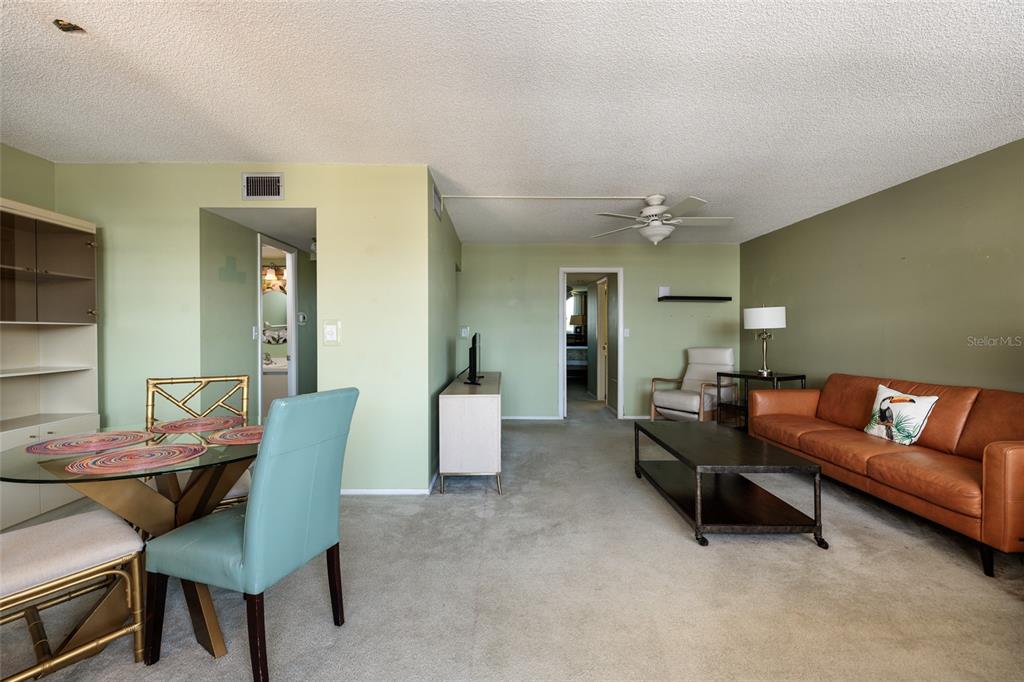 A living and dining area features light green walls, a leather sofa, and carpeted floors — 4915 BAY STREET NE UNIT 331, ST PETERSBURG, FL