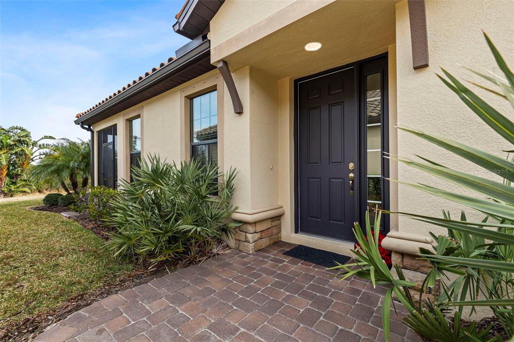 The exterior of a house features a dark front door, stone accents, and paved walkway — 8424 ALBERATA VISTA DRIVE, TAMPA, FL