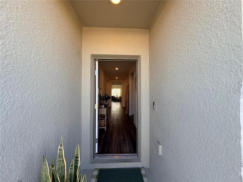 380 TALISI LOOP, ST CLOUD, FL — photo 3 of 30