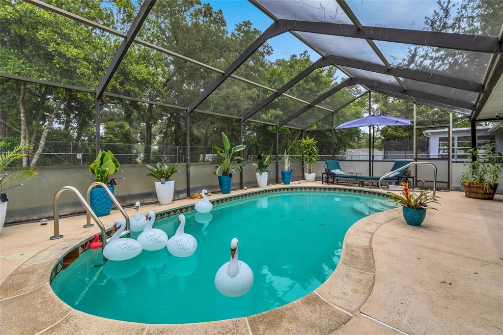 A screened-in swimming pool area features several white swan floats and potted plants — 1372 HAULOVER AVENUE, SPRING HILL, FL