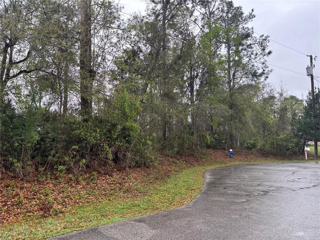 A paved road curves past a wooded lot with a fire hydrant and utility pole — 5 WOODCHUCK PLACE, PALM COAST, FL