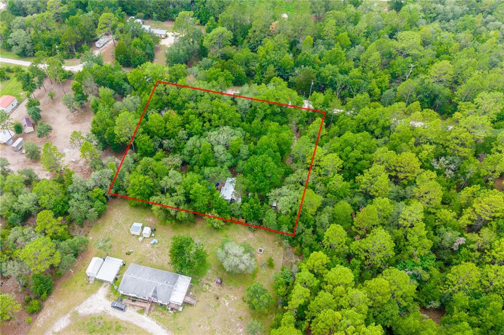 An aerial view shows a rectangular plot of land outlined in red amidst dense trees — 1671 NE 128TH AVENUE, WILLISTON, FL