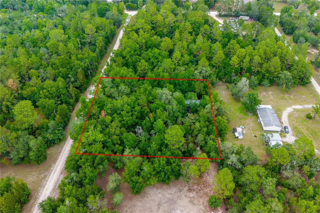 An aerial view shows a wooded lot outlined in red next to a residential house — 1671 NE 128TH AVENUE, WILLISTON, FL