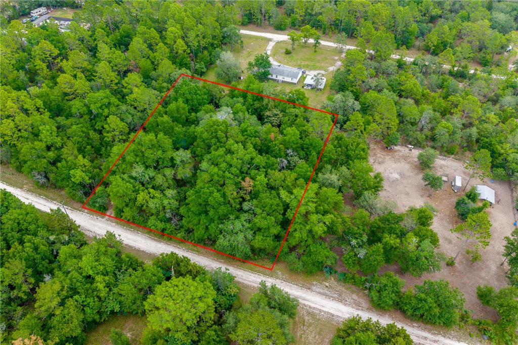 An aerial view shows a wooded, rectangular plot of land outlined in red near a road — 1671 NE 128TH AVENUE, WILLISTON, FL