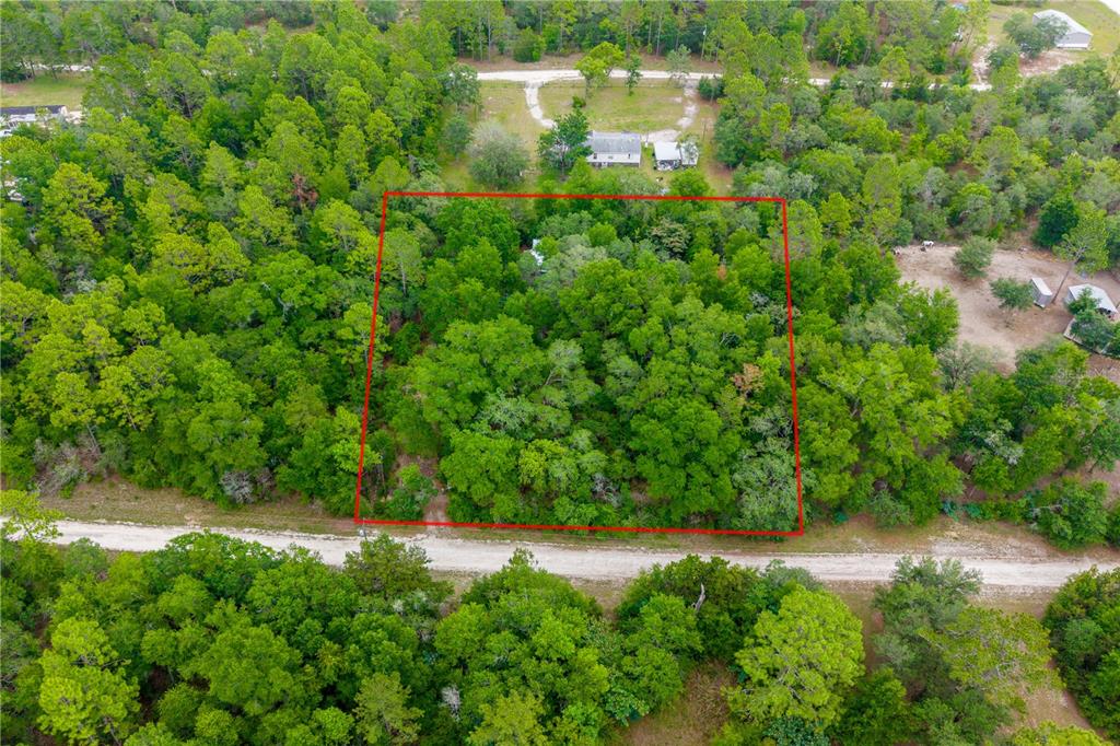 An aerial view shows a rectangular plot of land outlined in red amidst dense woods — 1671 NE 128TH AVENUE, WILLISTON, FL