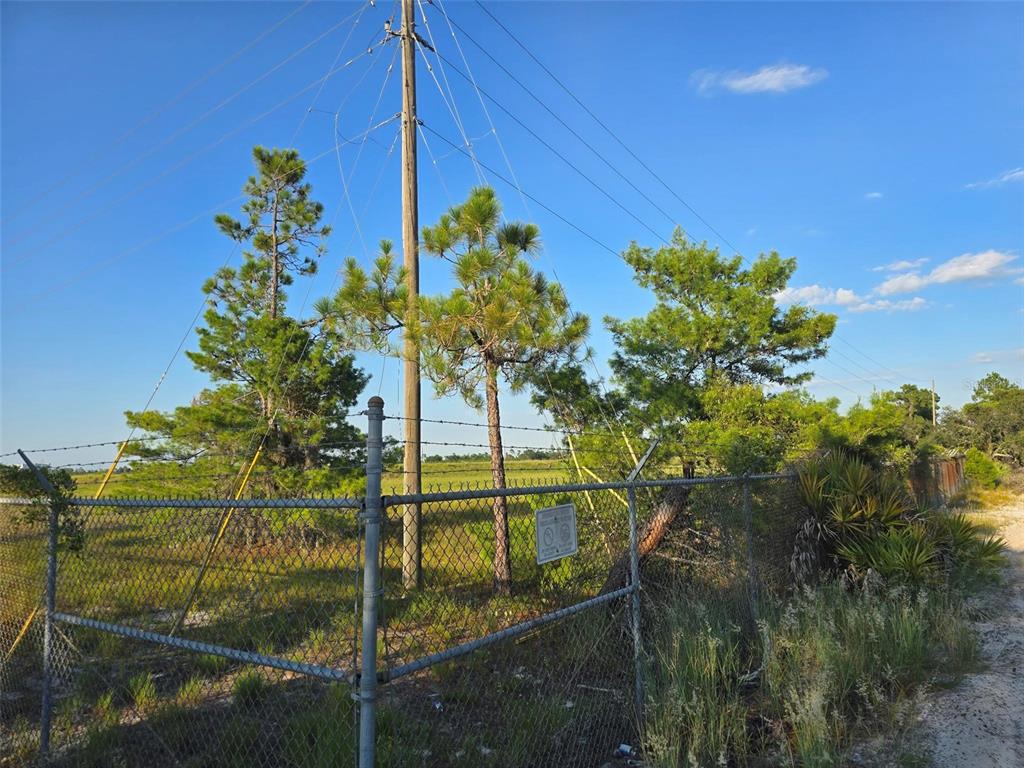 A chain-link fence with barbed wire surrounds a grassy lot featuring several pine trees — INTERNATIONAL DRIVE, ORLANDO, FL