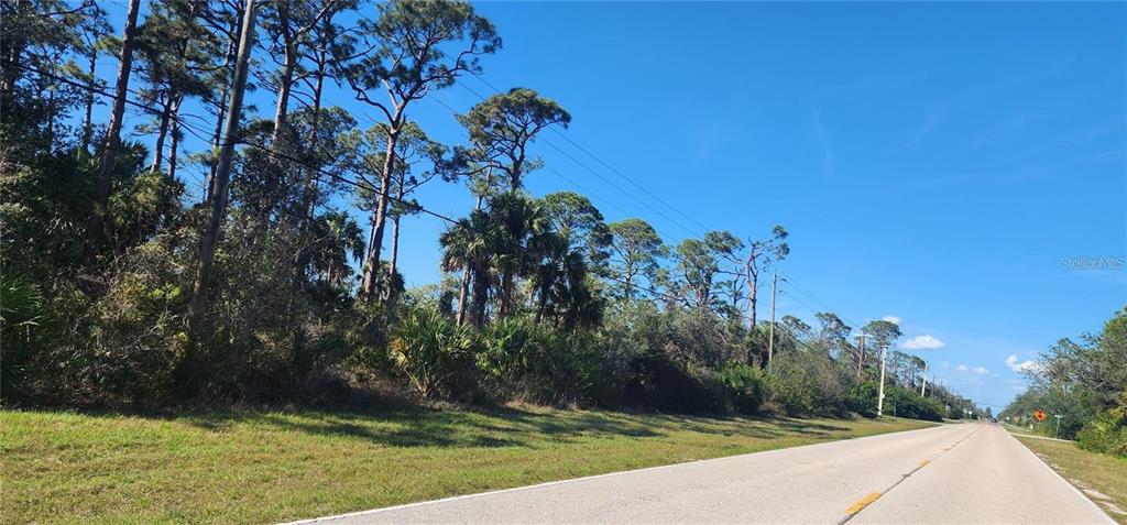 A paved road runs alongside a wooded lot with tall pine and palm trees — 4073 COLLINGSWOOD BOULEVARD, PORT CHARLOTTE, FL