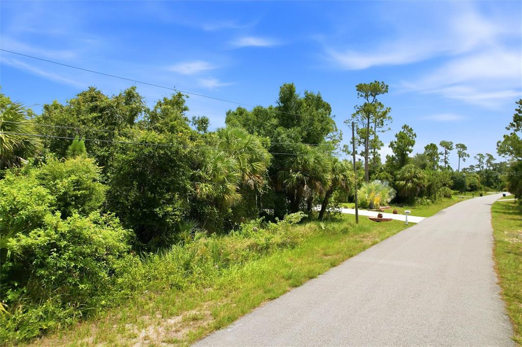 A paved road runs alongside a wooded lot with dense trees and palm vegetation — DERRICK STREET, NORTH PORT, FL
