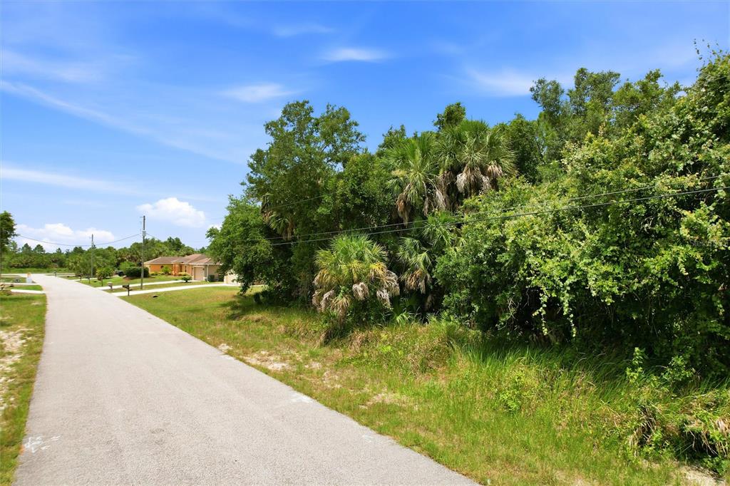 A paved road runs alongside a wooded lot with palm trees and dense green vegetation — DERRICK STREET, NORTH PORT, FL