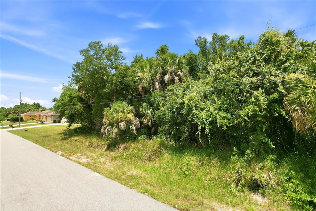 A paved road runs alongside a vacant, heavily wooded lot with palm trees and brush — DERRICK STREET, NORTH PORT, FL