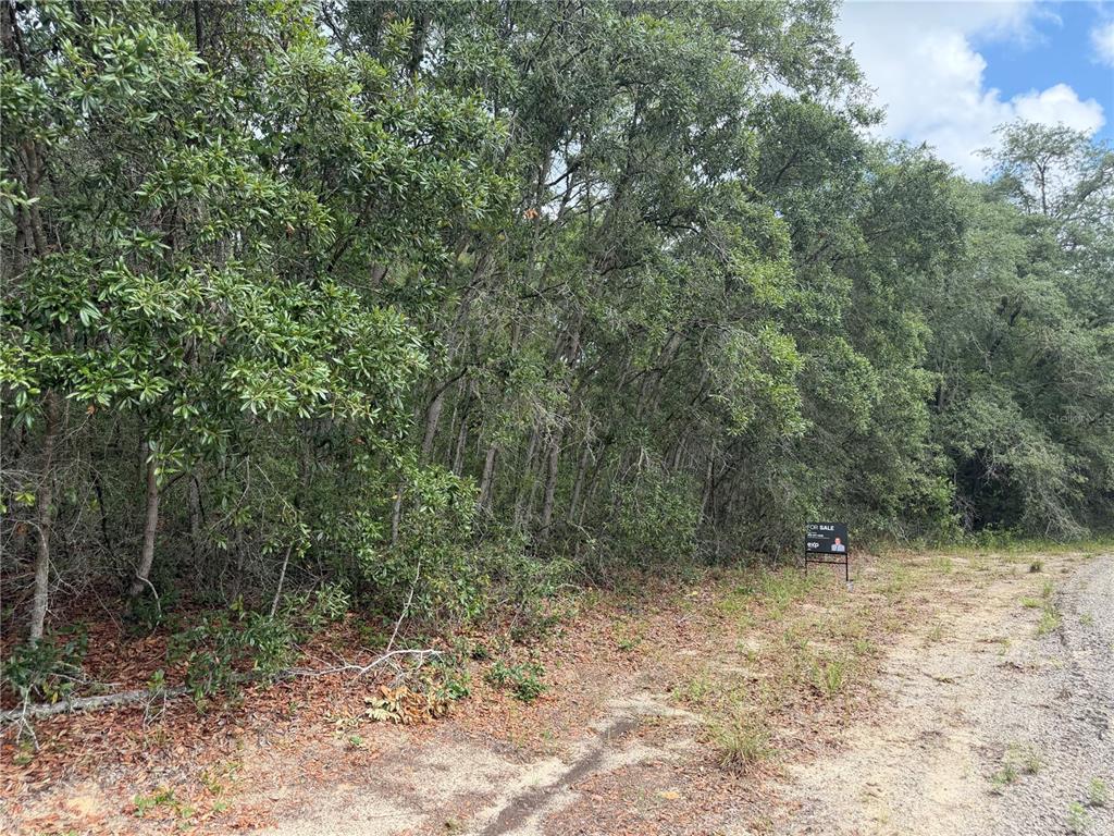 A wooded, undeveloped lot with a real estate sign stands beside a dirt road — 9328 N RADA TERRACE, DUNNELLON, FL