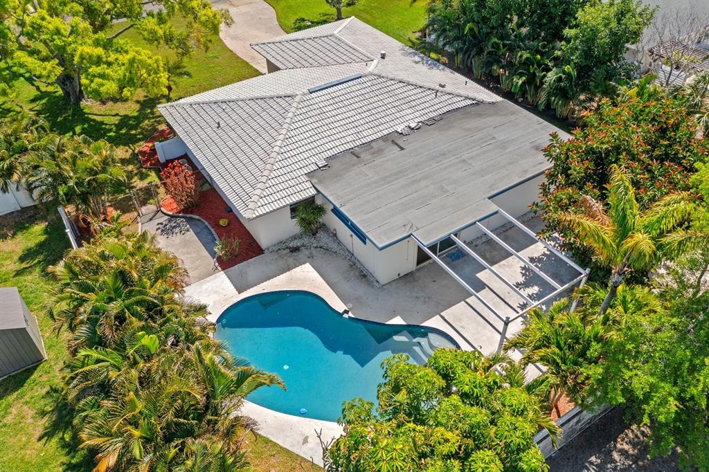 A backyard features a kidney-shaped swimming pool, a white house, and surrounding palm trees — 4540 BAYSHORE BOULEVARD NE, ST PETERSBURG, FL