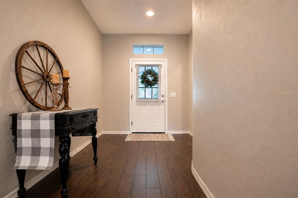 A foyer features dark wood flooring, a black console table, and a white front door — 5029 TORREY HILLS LANE, LUTZ, FL