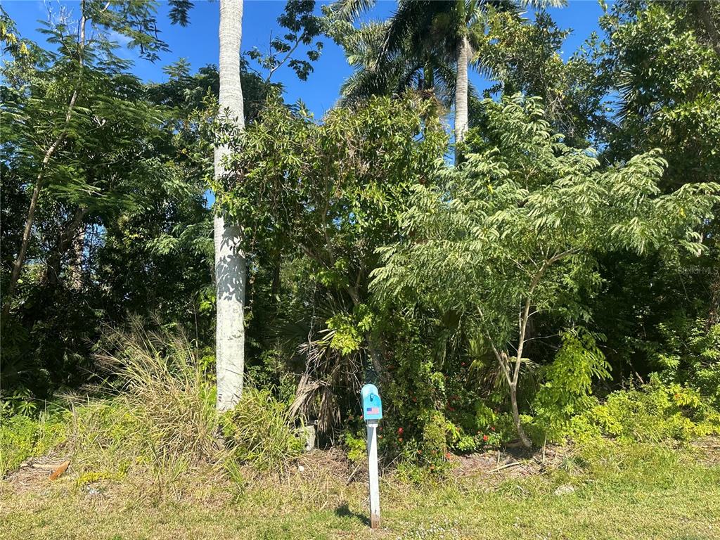 A blue mailbox stands in front of a densely wooded lot with tall palm trees — 2016 MYRTLE AVENUE, PUNTA GORDA, FL