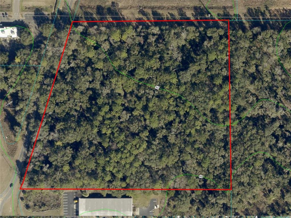 An aerial view shows a rectangular, wooded plot of land outlined in red — HWY 441 and W ANTHONY RD, OCALA, FL