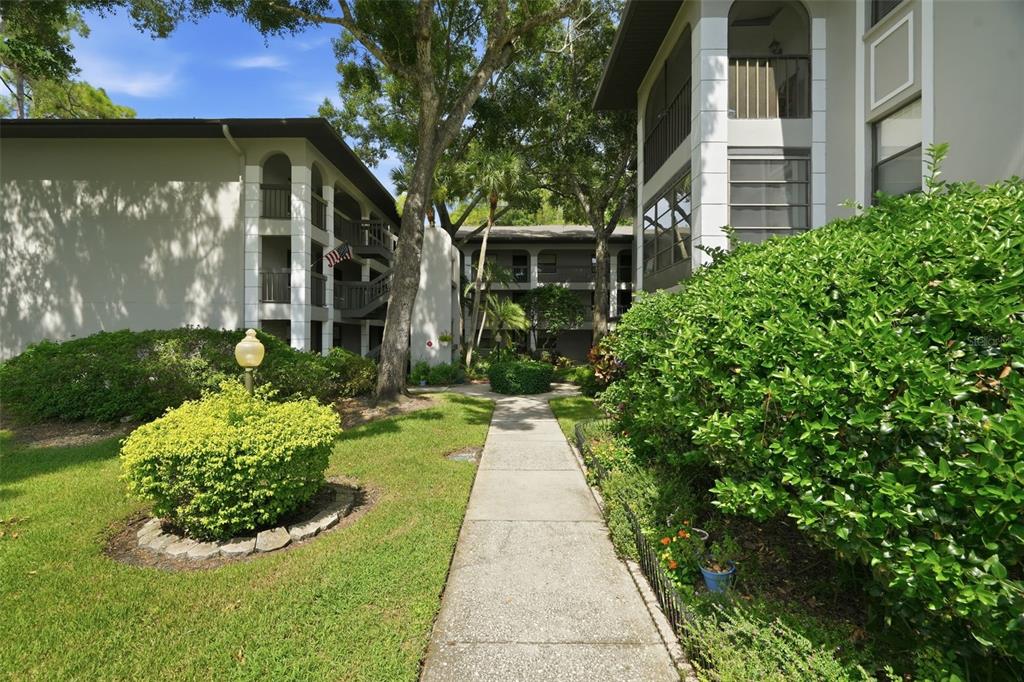 A concrete walkway leads between two multi-story apartment buildings surrounded by green landscaping and trees — 3399 MERMOOR DRIVE UNIT 105, PALM HARBOR, FL