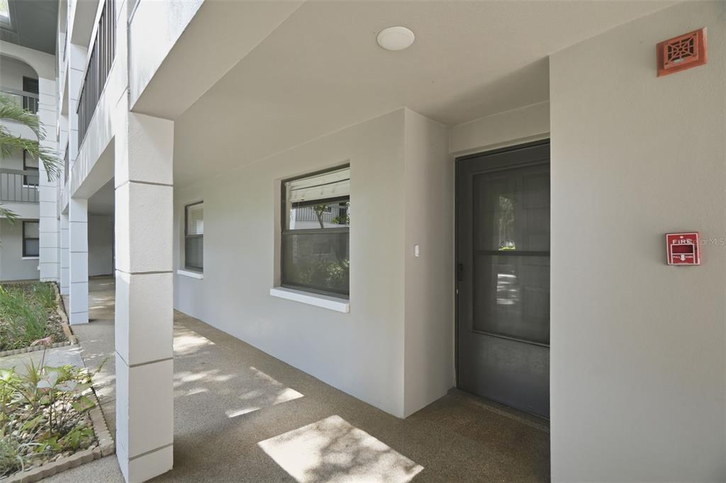 A covered outdoor walkway leads to a gray front door with a screen door — 3399 MERMOOR DRIVE UNIT 105, PALM HARBOR, FL