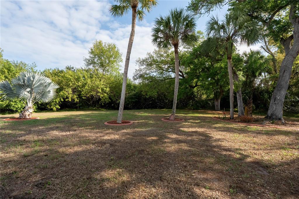 A grassy backyard features several palm trees and mature trees against a dense wooded background — 5910 MAJESTIC WAY, PALMETTO, FL