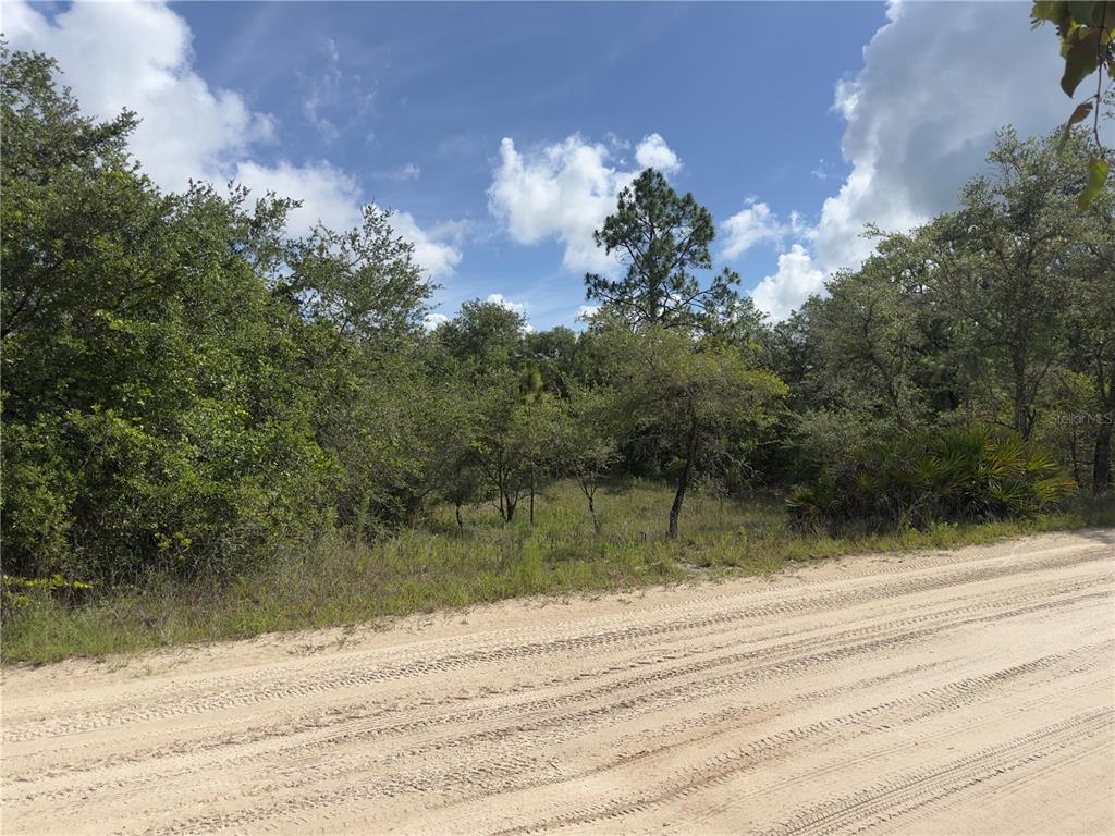 A dirt road runs alongside a wooded, undeveloped lot under a blue sky — 8389 SW 155TH STREET, DUNNELLON, FL