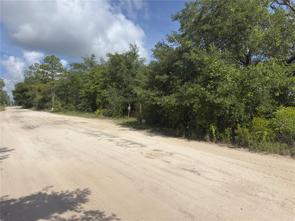 A dirt road runs alongside a wooded lot under a blue sky with clouds — 8389 SW 155TH STREET, DUNNELLON, FL